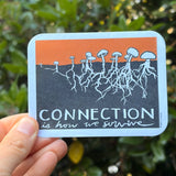 Connection Mail Club